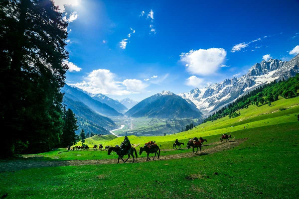 Kashmir Holiday Premium Packages