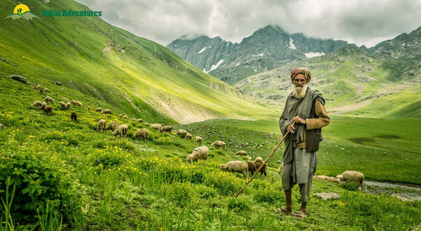 Kashmir Holidays Package